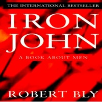 Аудиокнига Железный Джон книга о мужчинах Роберт Блай
